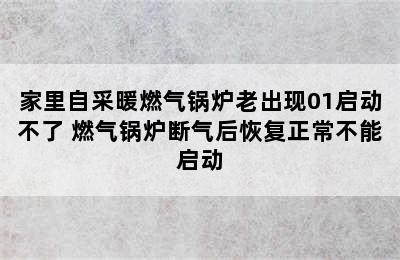 家里自采暖燃气锅炉老出现01启动不了 燃气锅炉断气后恢复正常不能启动